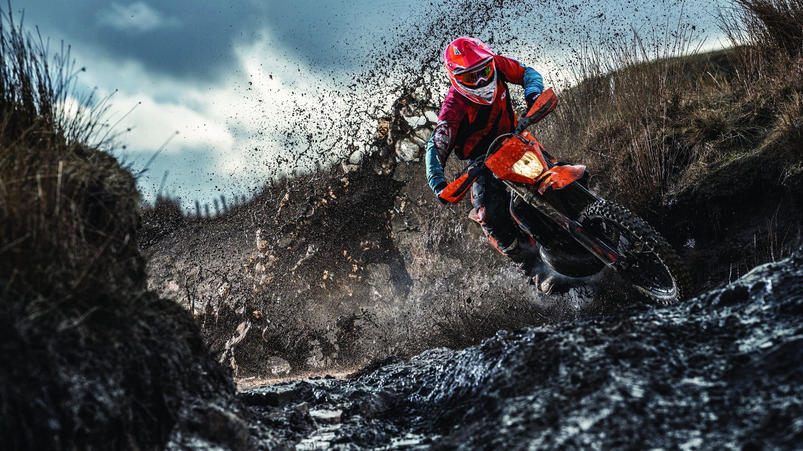 蝶泳新秀摩纳哥崭露头角