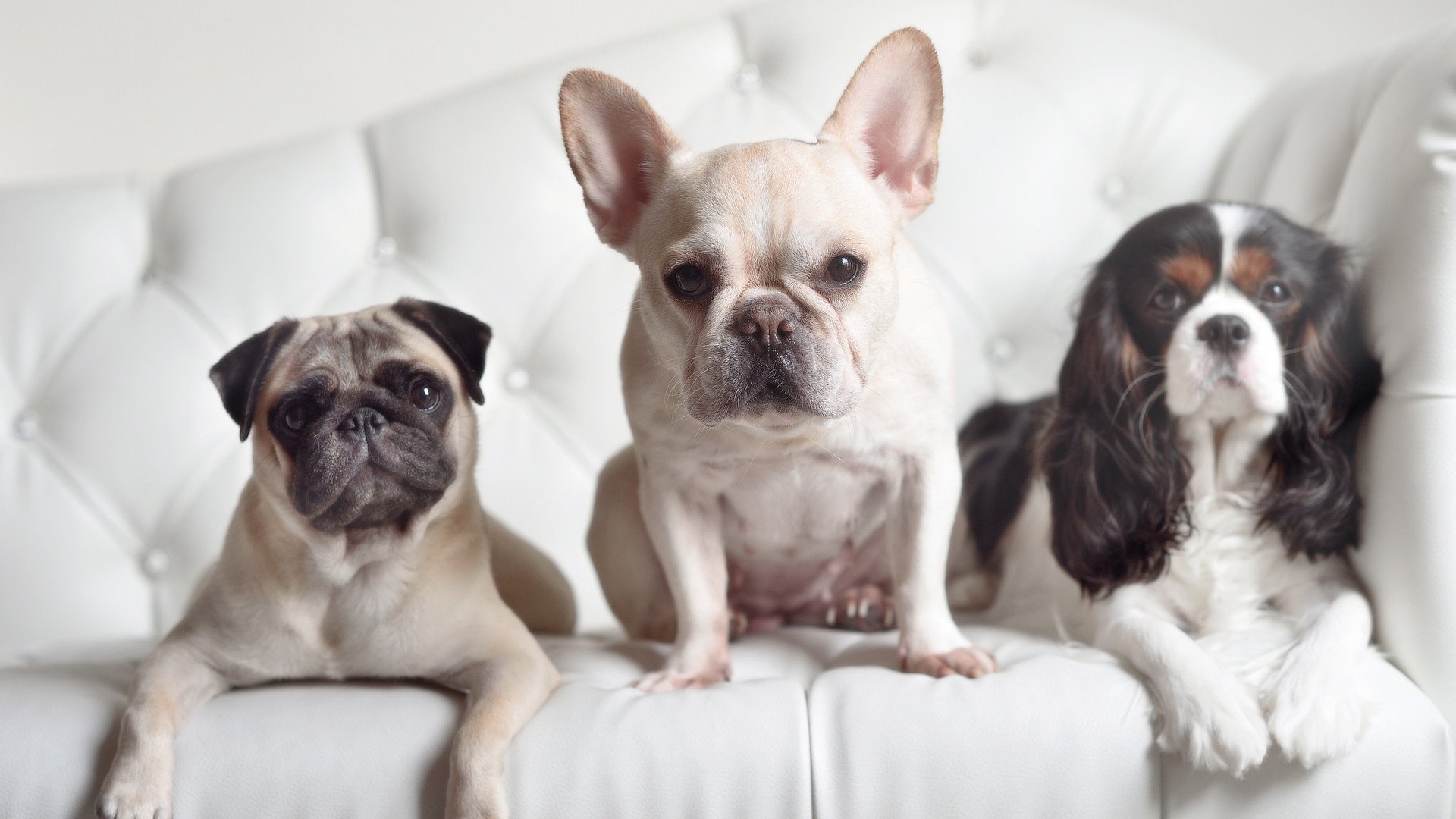 _湖人积极调整，迎来反弹时代_，湖人宣布