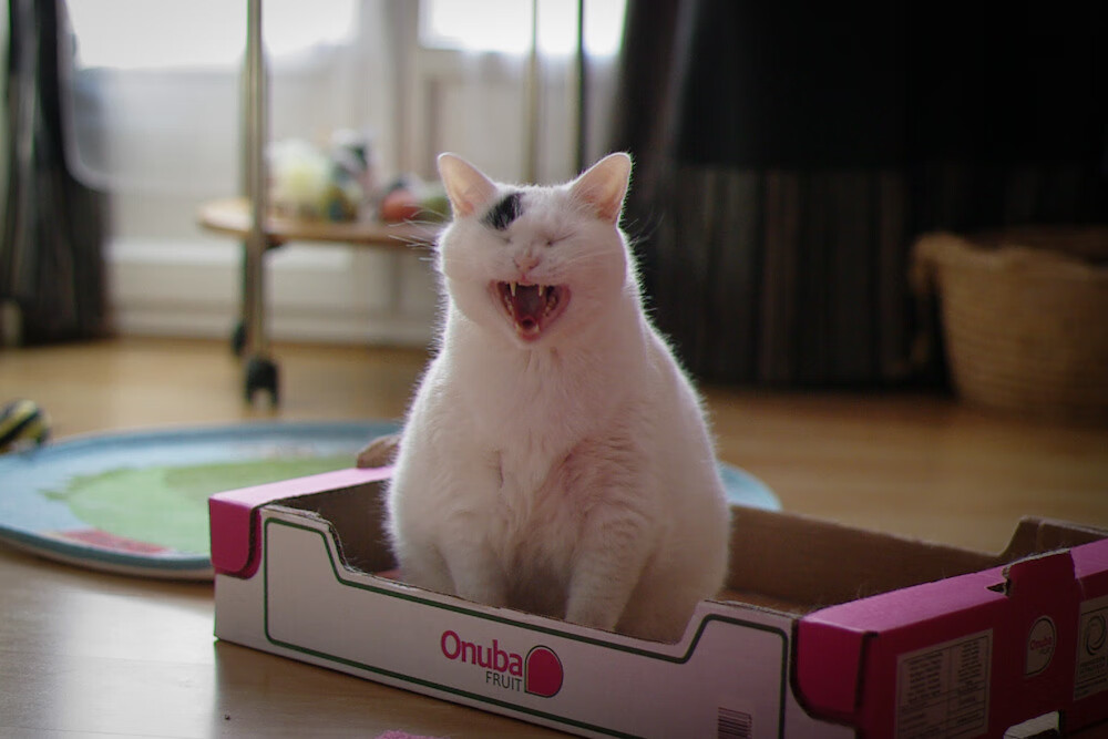 “西甲明星竞技状态火热，比赛精彩纷呈”，西甲足球明星