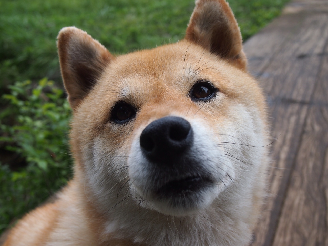 “青训营地配备专业心理辅导，关注青少年身心健康”，青训营报名