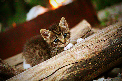 【夺冠经验】奥沙利文分享比赛中的心理调节技巧，奥沙利文享受比赛